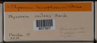 Image Associated With the Occurence